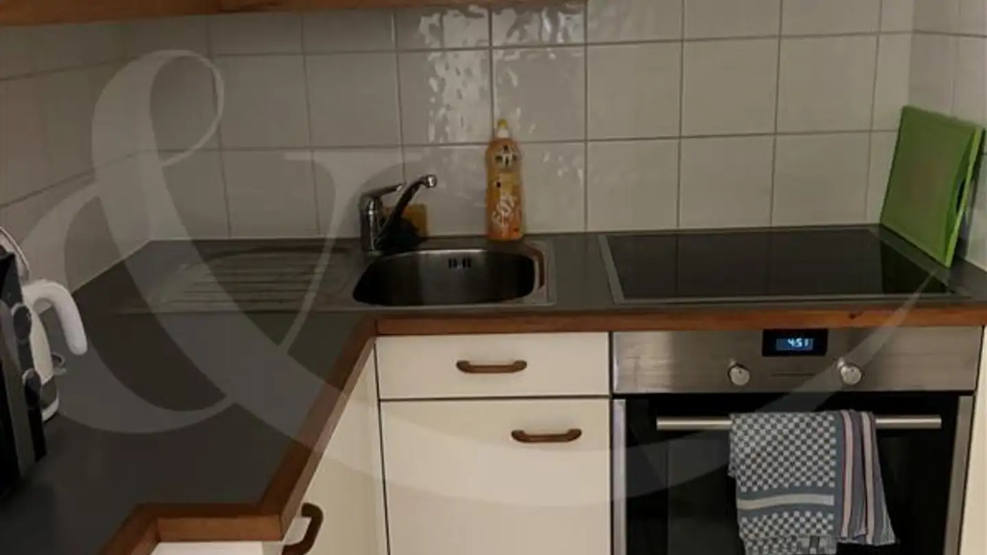 Appartamento in affitto - Rue Ancienne 27, 1227 Carouge GE - Foto 4