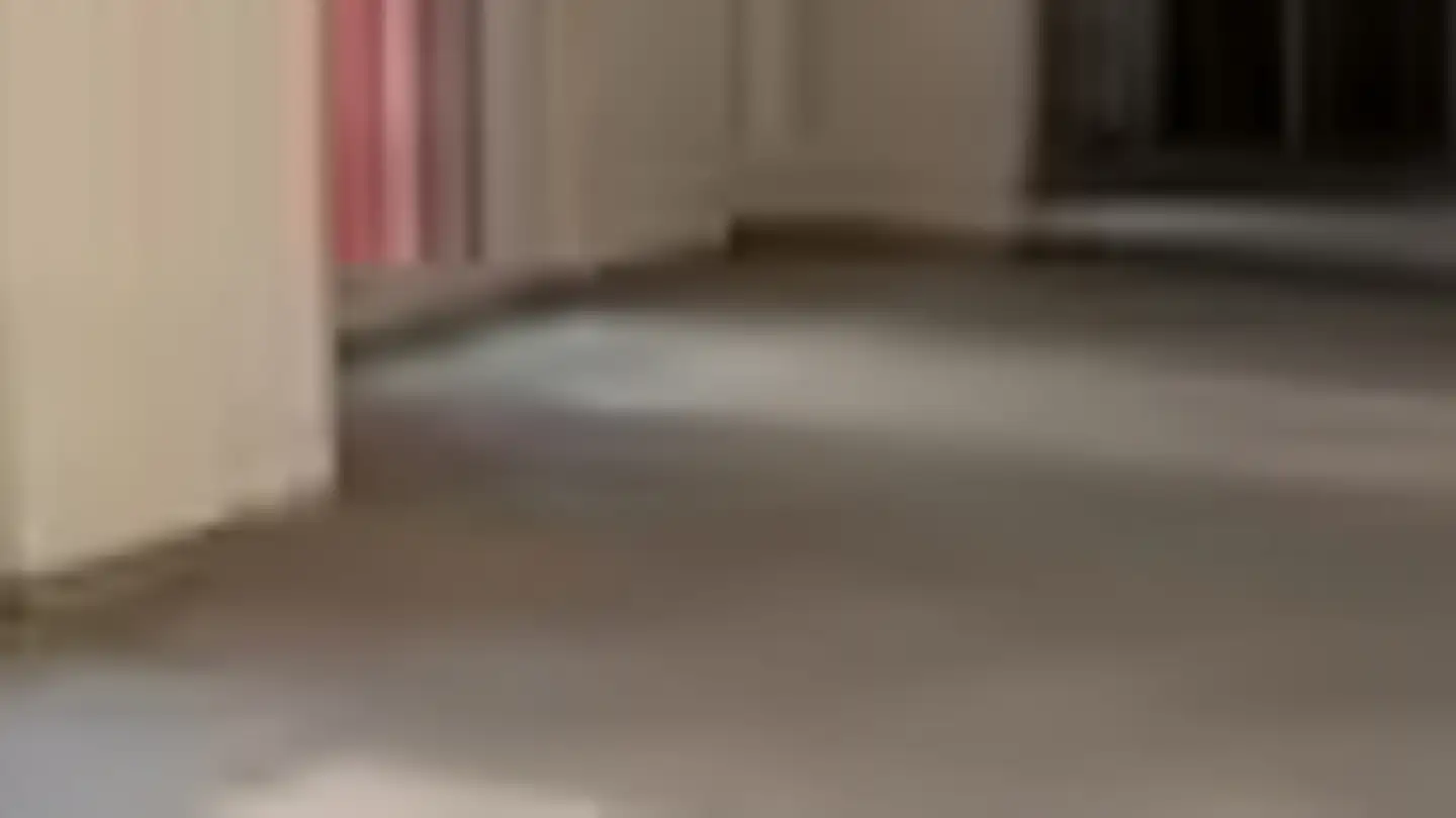 Appartement à louer - Via Saleggi 15, 6612 Ascona - Photo 4