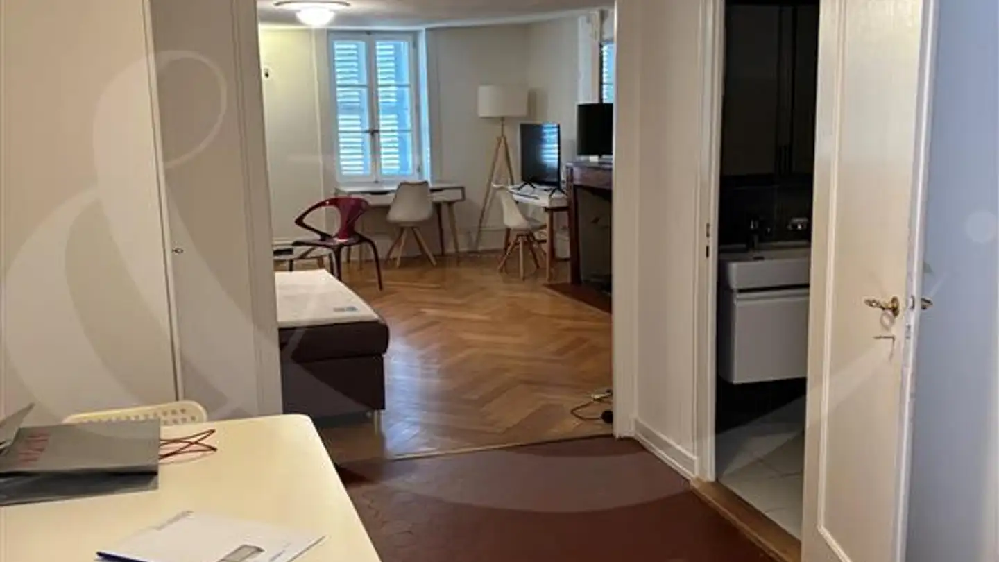 Appartamento in affitto - Rue Ancienne 27, 1227 Carouge GE - Foto 3