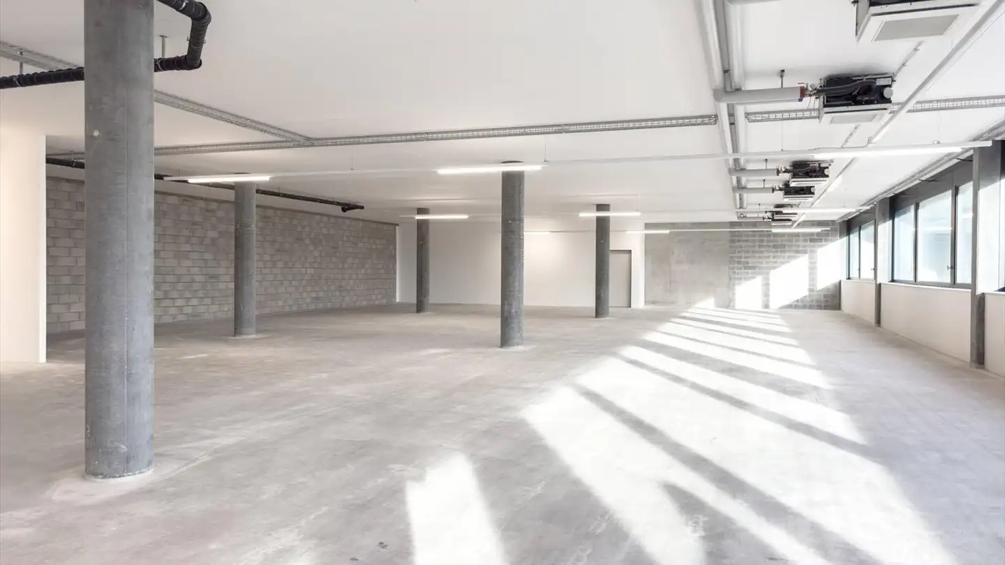 Commerciale in affitto - Chemin Du Pré Fleuri 15, 1228 Plan-les-Ouates