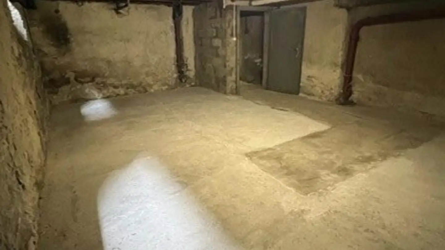 Commerciale in affitto - Rue Louis- Favre 6, 1201 Genève