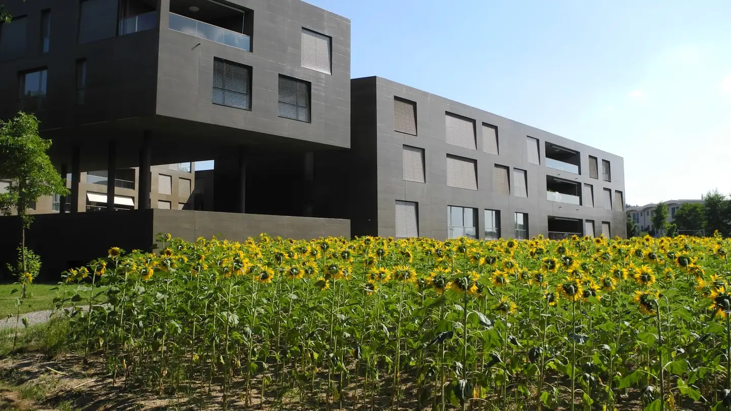 Appartamento in affitto - Parkweg 18, 4852 Rothrist - Foto 3
