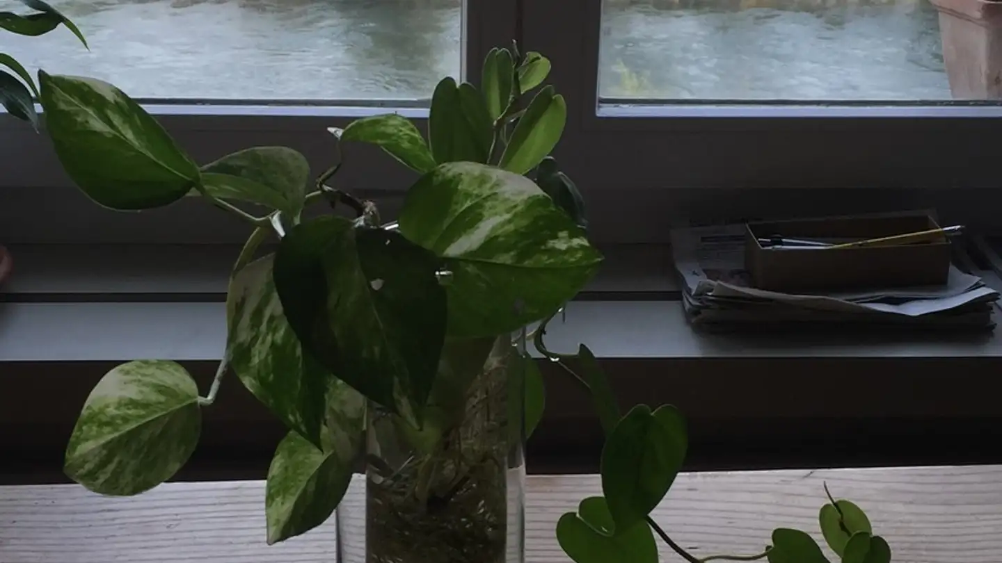 Wohnung mieten - Hardturmstrasse 104, 8005 Zürich - Foto 3