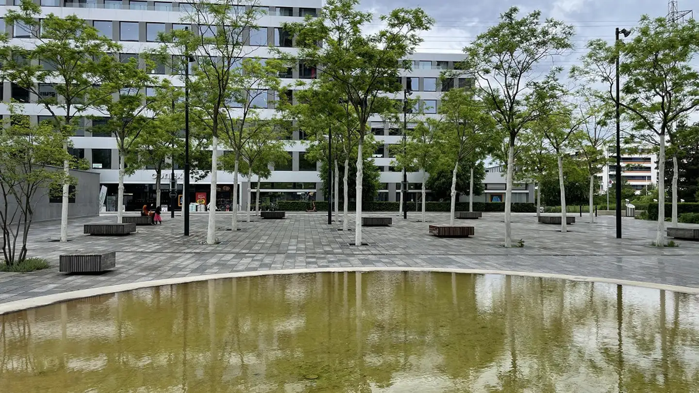 Wohnung mieten - Schärenmoosstrasse 76, 8052 Zürich