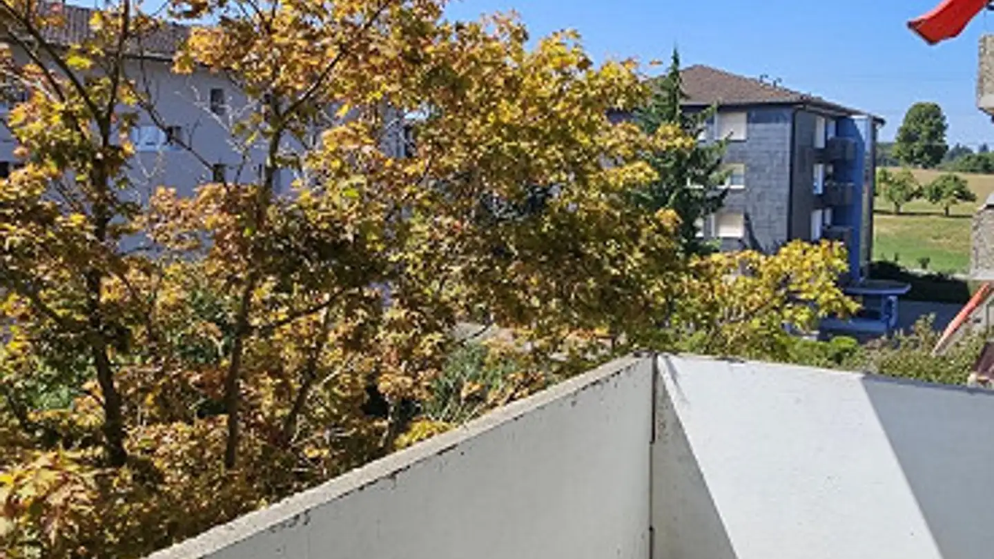 Appartement à louer - Halten 5, 9300 Wittenbach - Photo 3