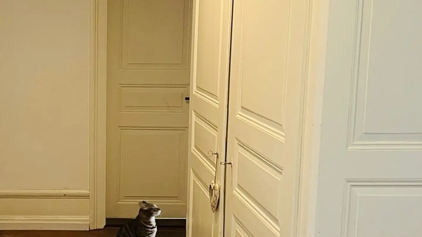 Appartement à louer - 8001 Zürich