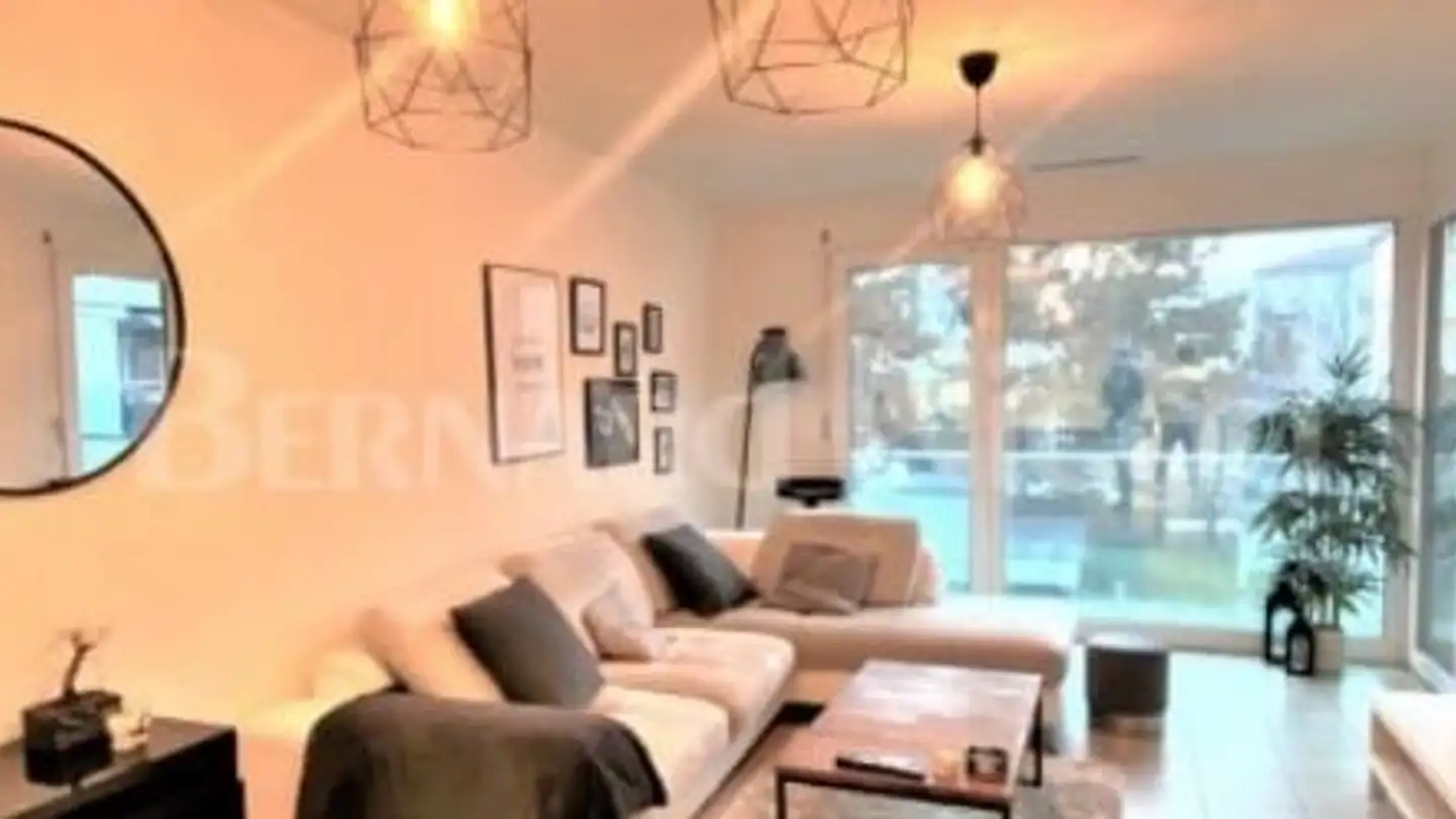 Appartamento in affitto - Rue Des Alpes 65, 1023 Crissier