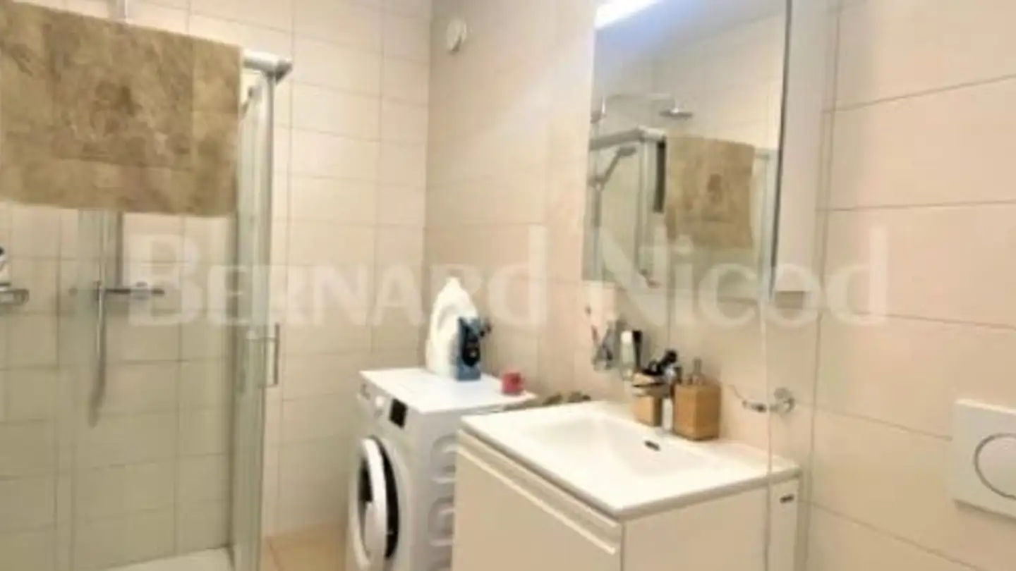 Appartamento in affitto - Rue Des Alpes 65, 1023 Crissier - Foto 4