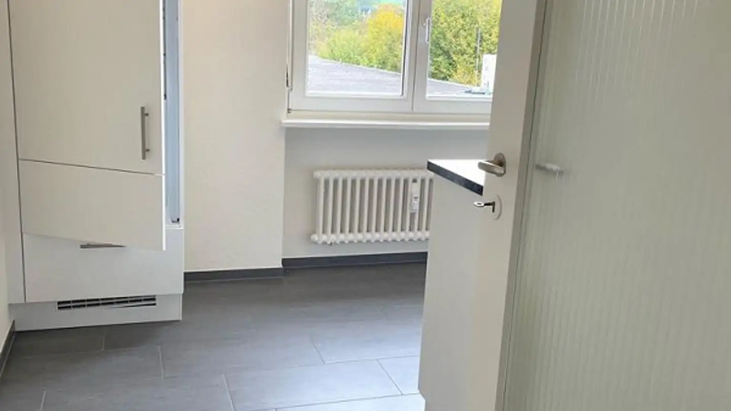 Appartamento in affitto - Laufenstrasse 2, 4226 Breitenbach - Foto 3