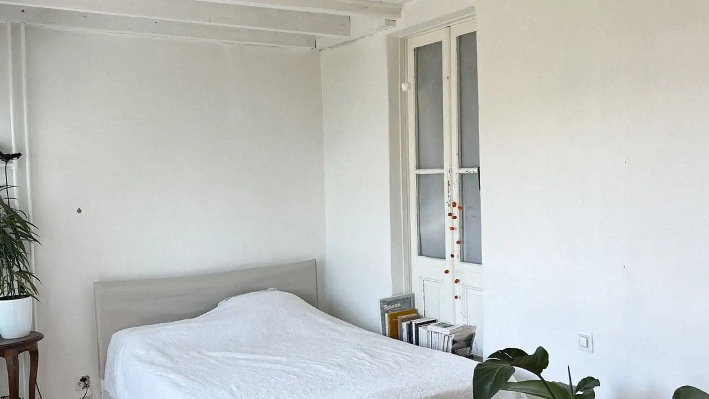 Single room for rent - 6874 Castel San Pietro - Photo 2