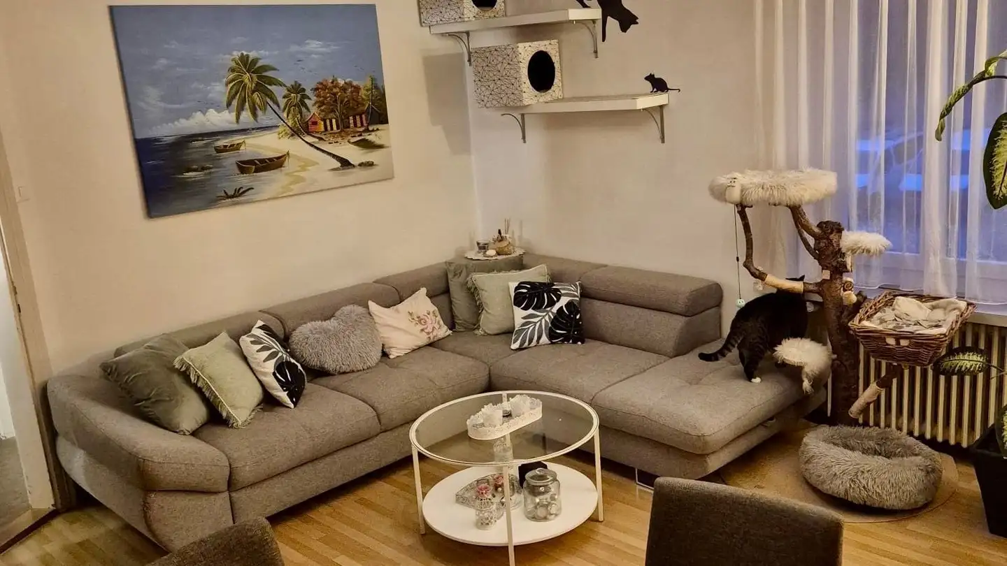 Wohnung mieten - Mülligerstrasse 8, 5210 Windisch