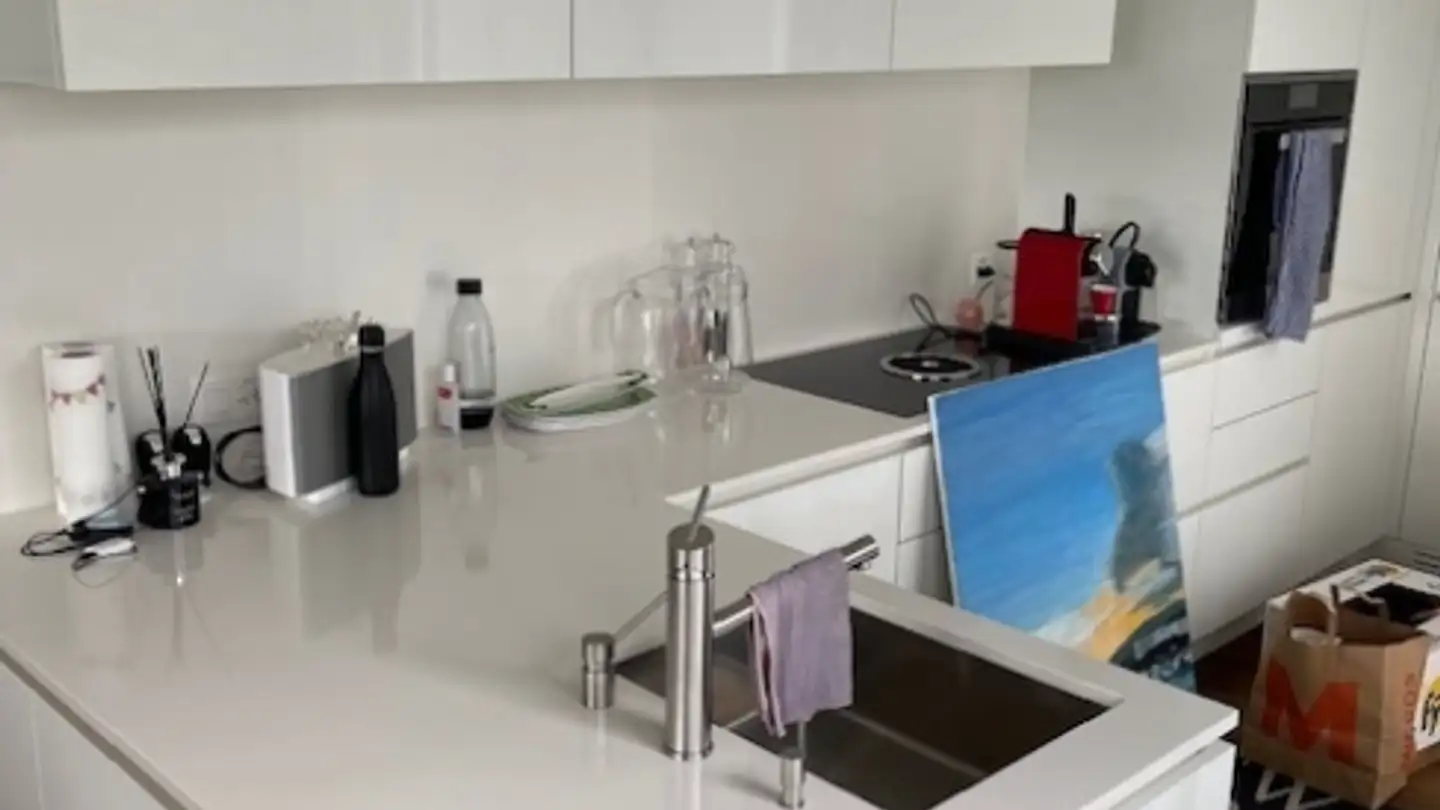 Appartamento in affitto - 8142 Uitikon Waldegg - Photo 2