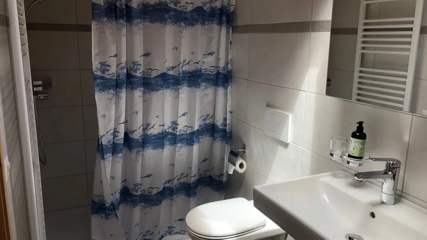 Appartamento in affitto - Schlössli 420, 3551 Oberfrittenbach - Foto 4