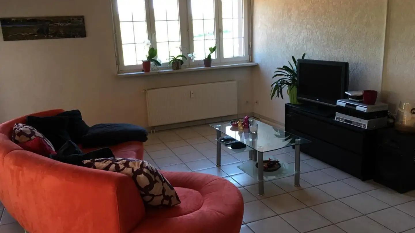 Attic flat for rent - Rainweg 4, 2813 Ederswiler - Photo 3