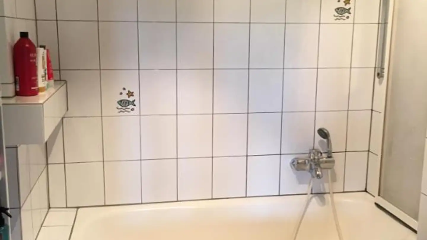 Attic flat for rent - Rainweg 4, 2813 Ederswiler - Photo 4