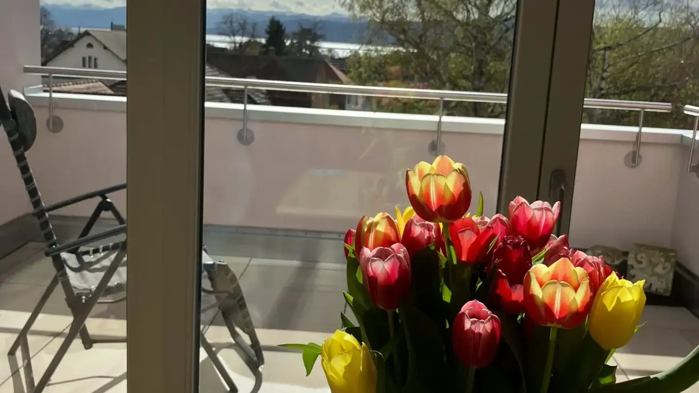 Appartement à louer - Salmsacherstrasse 13a, 8590 Romanshorn