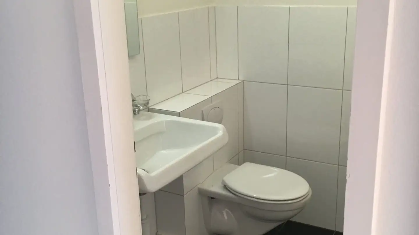 Appartamento in affitto - Quellenweg 7, 4102 Binningen - Foto 4