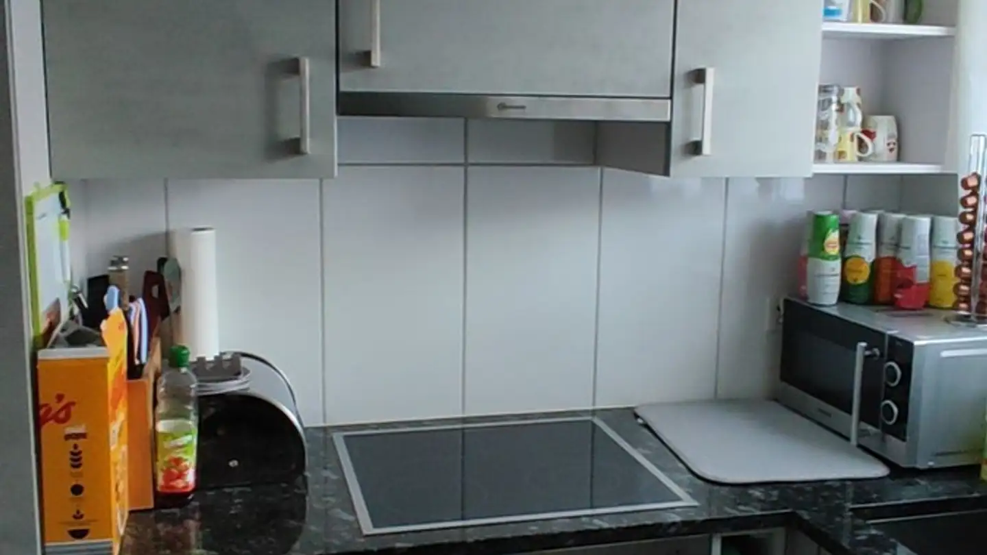 Appartement à louer - Erzgrubenweg 19, 5000 Aarau
