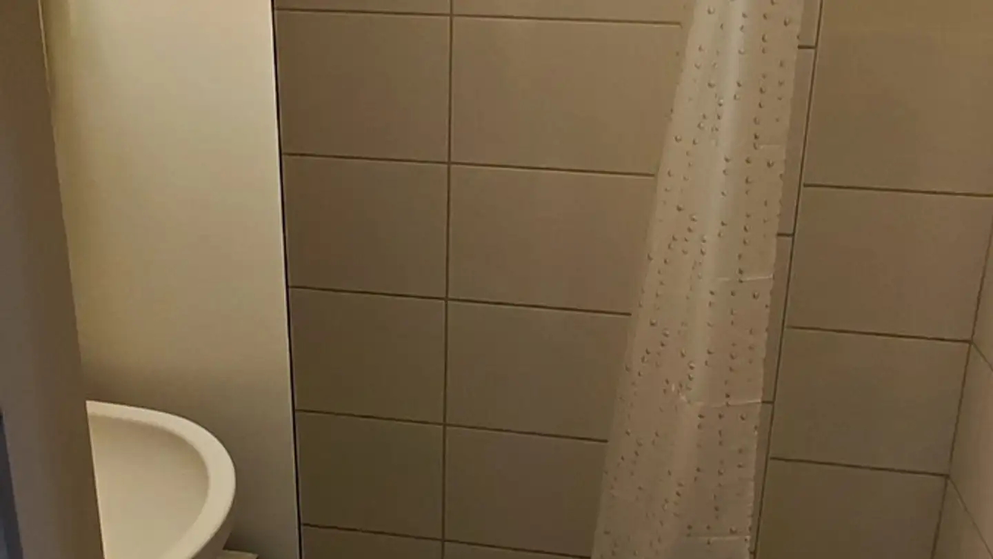 Appartement à louer - Erzgrubenweg 19, 5000 Aarau - Photo 2