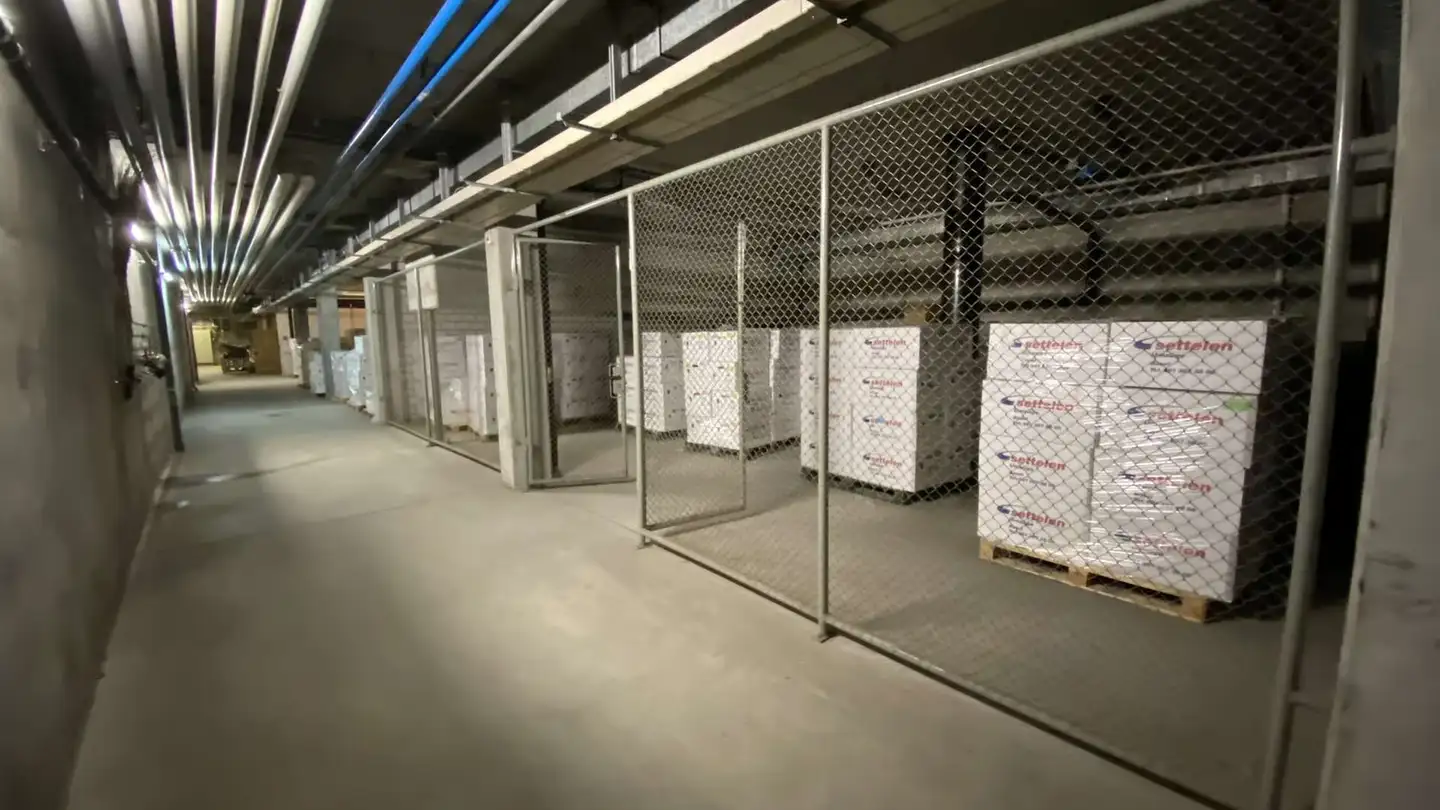 Gewerbe mieten - Muttenzerstrasse 143, 4133 Pratteln