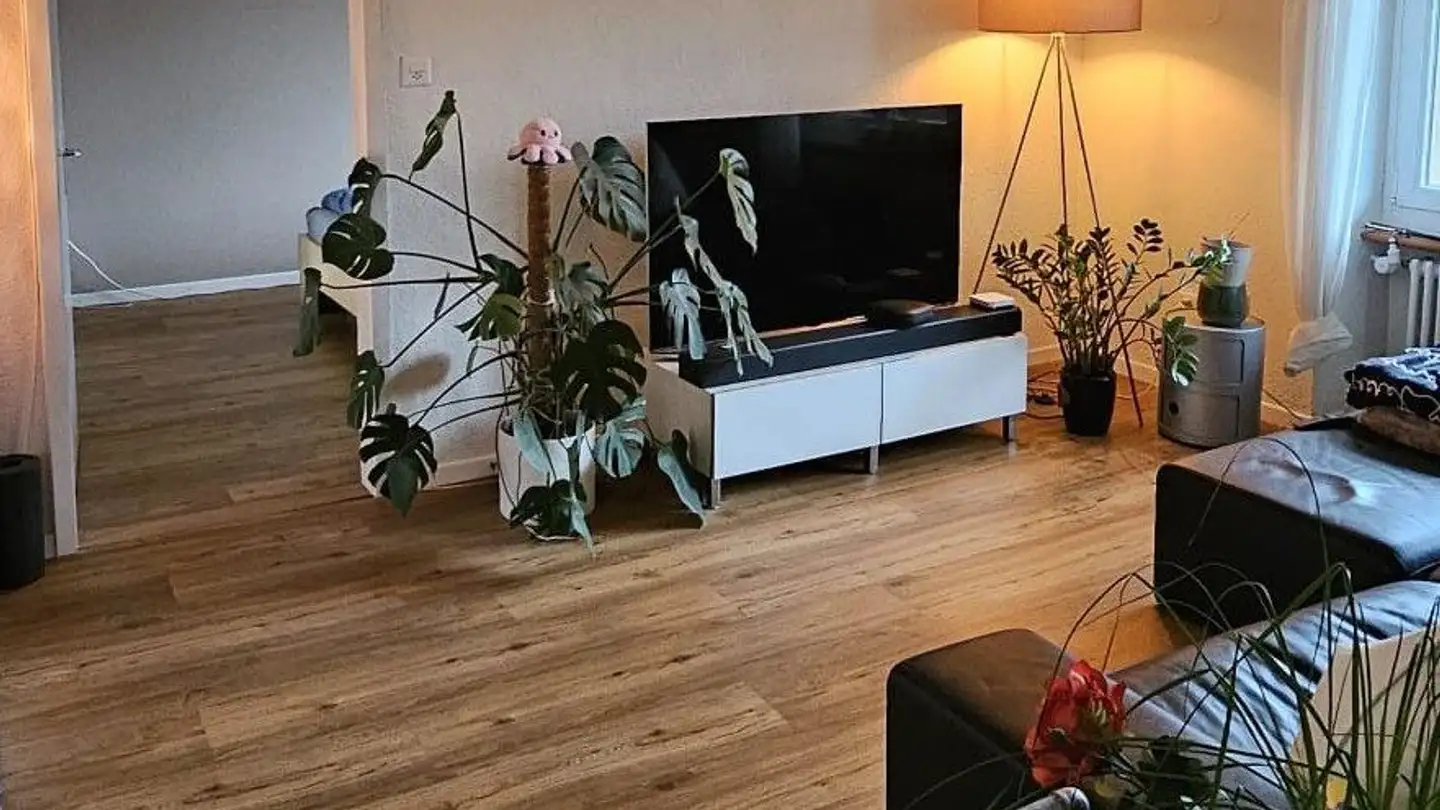 Appartamento in affitto - Hauptstrasse 23, 5212 Hausen AG - Photo 4