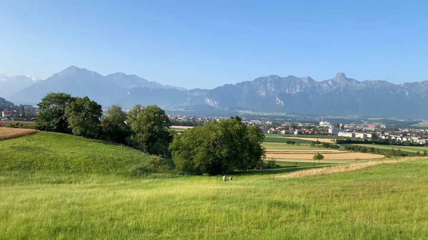 Appartamento in affitto - 3612 Steffisburg