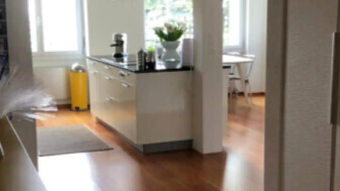 Furnished apartment for rent - 3072 Ostermundigen - Photo 3