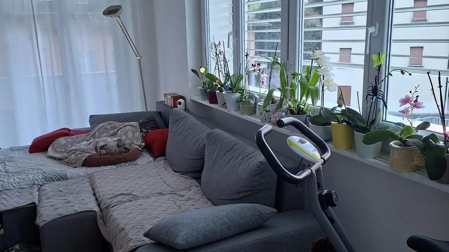 Appartement à louer - 6500 Bellinzona