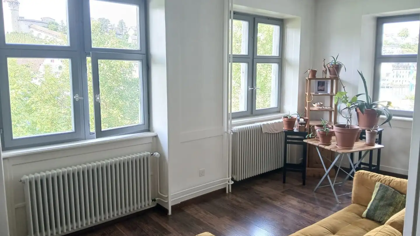 Appartement meublé à louer - Untere Rheingasse 7, 8245 Feuerthalen