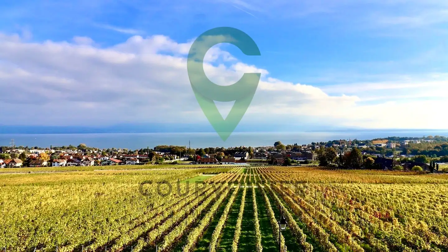 Wohnung kaufen - 1185 Mont-sur-Rolle - Foto 3