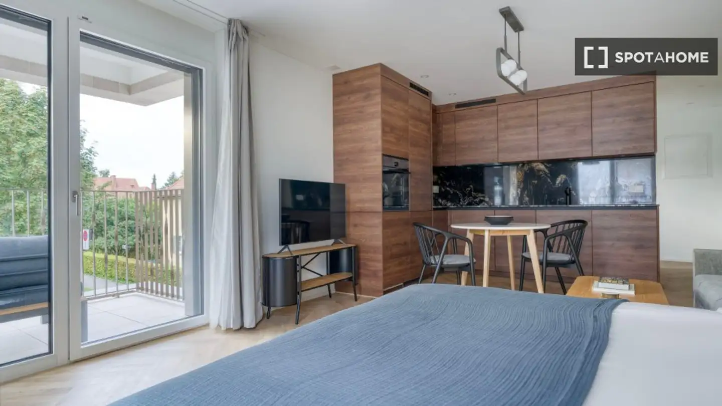 Studio for rent - 8055 Zürich