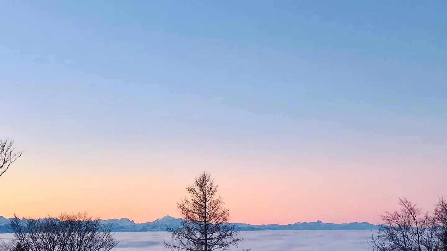 Casa singola in vendita - Chemin Des Noisetiers 50, 2516 Lamboing - Photo 3