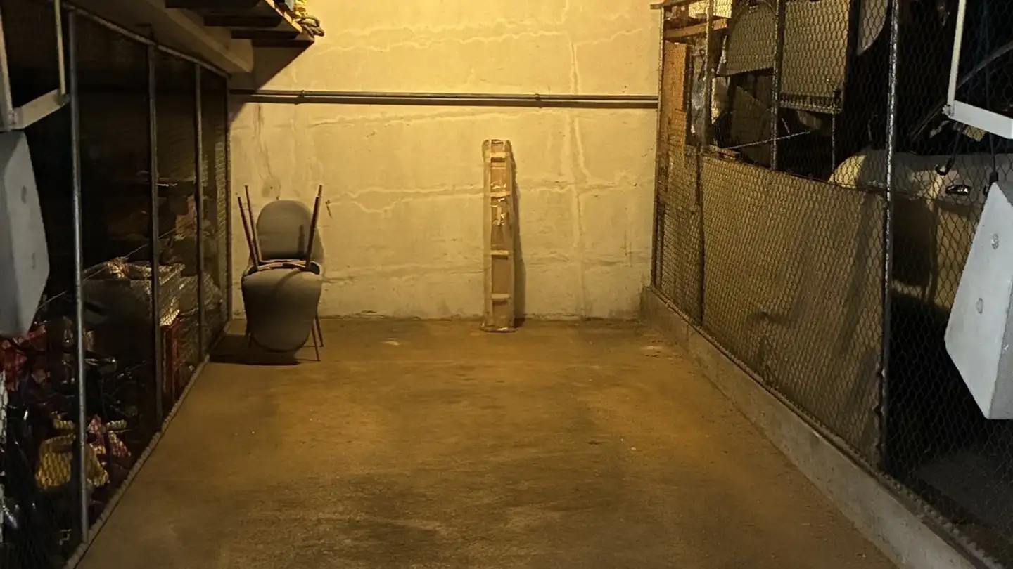 Single garage for rent - Untere Dorfstrasse 43, 8964 Rudolfstetten - Photo 2