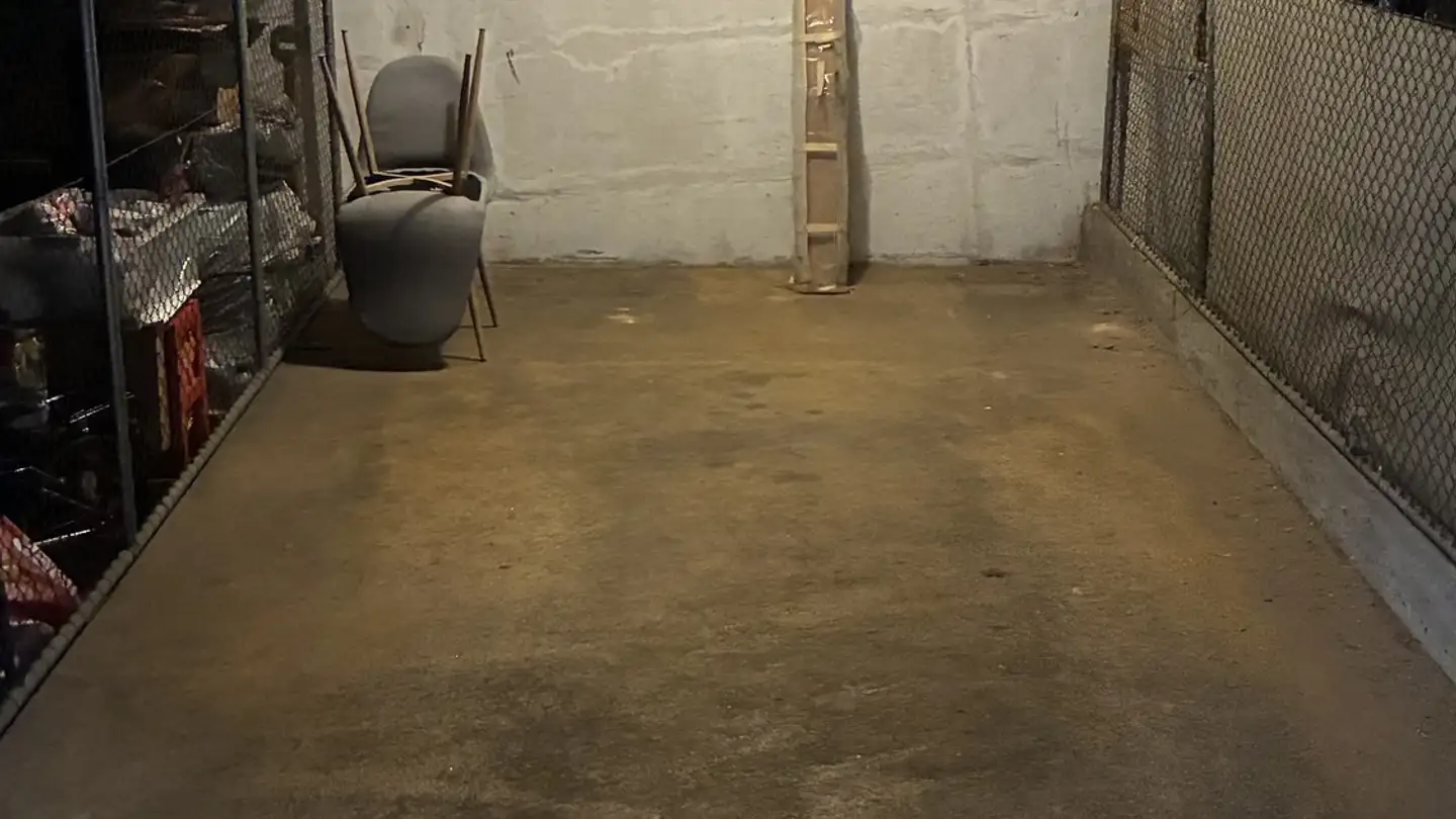 Single garage for rent - Untere Dorfstrasse 43, 8964 Rudolfstetten - Photo 3