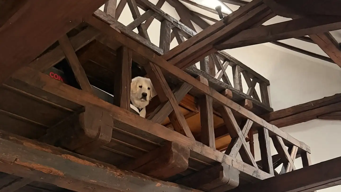 Zimmer mieten - 8158 Regensberg - Foto 3