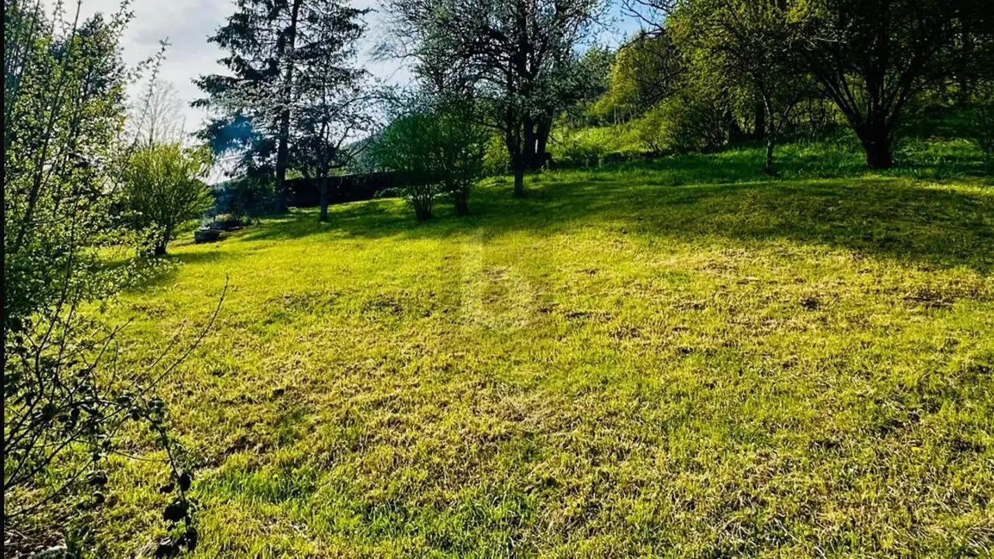 Commercial building plot for sale - 2615 Sonvilier