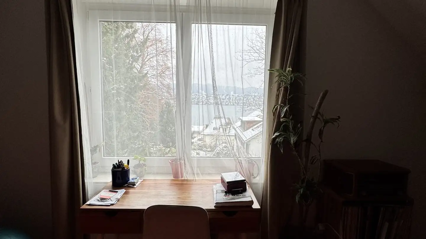 Appartamento in affitto - 8702 Zollikon - Foto 4