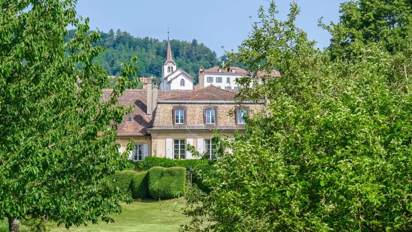 Schloss kaufen - 1173 Féchy