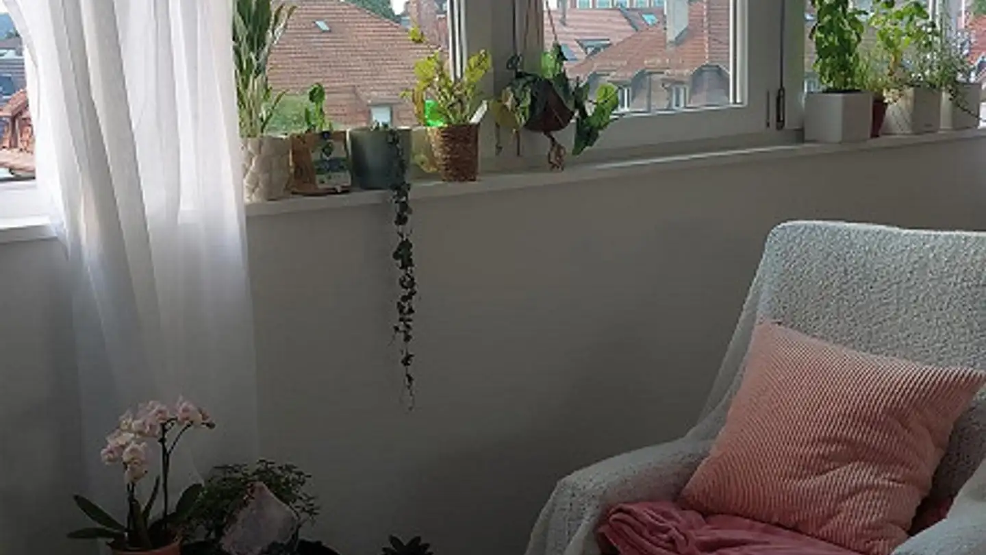 Penthouse for rent - Meisenstrasse 9, 9000 St. Gallen - Photo 4