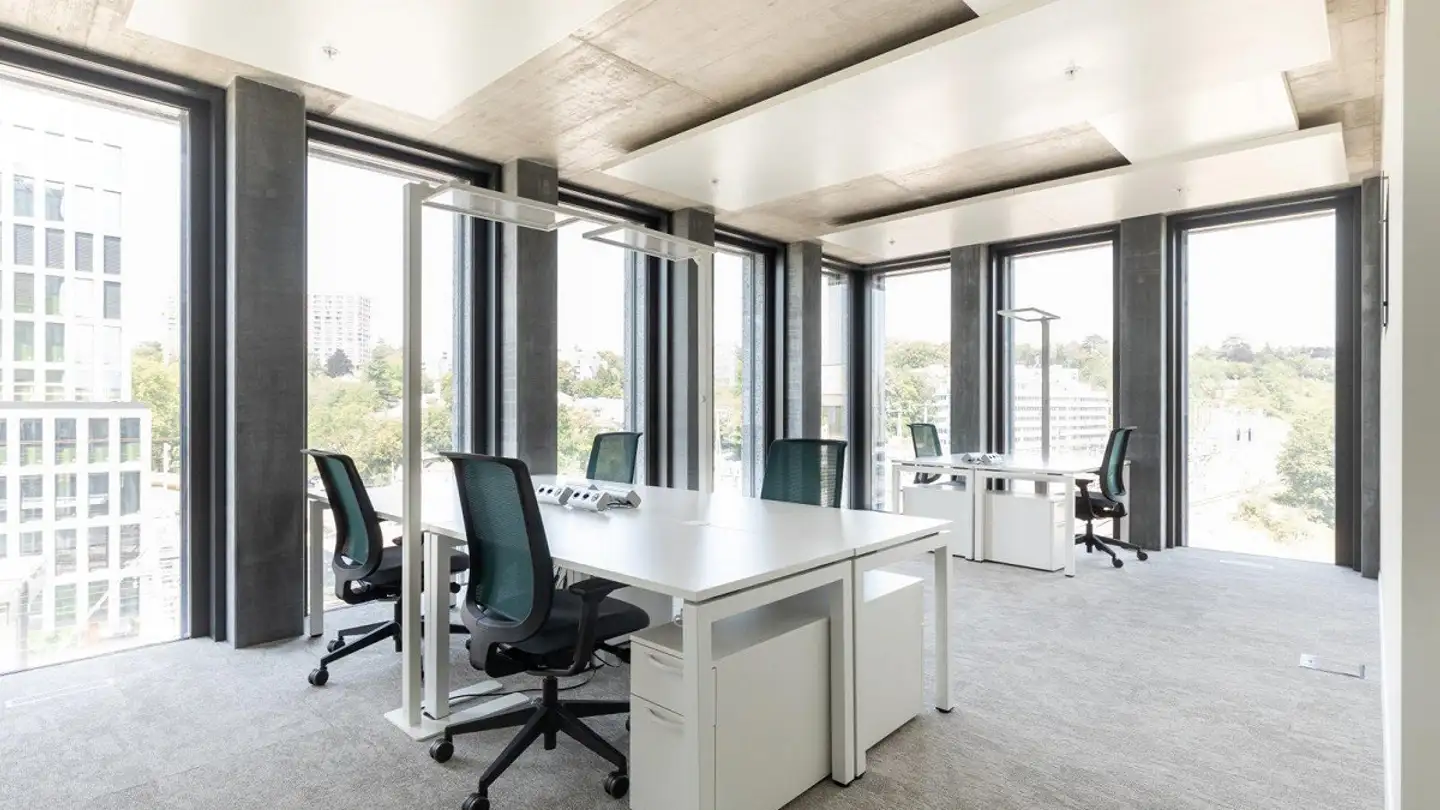Commerciale in affitto - Esplanade De Pont-Rouge 4, 1212 Grand-Lancy - Foto 3