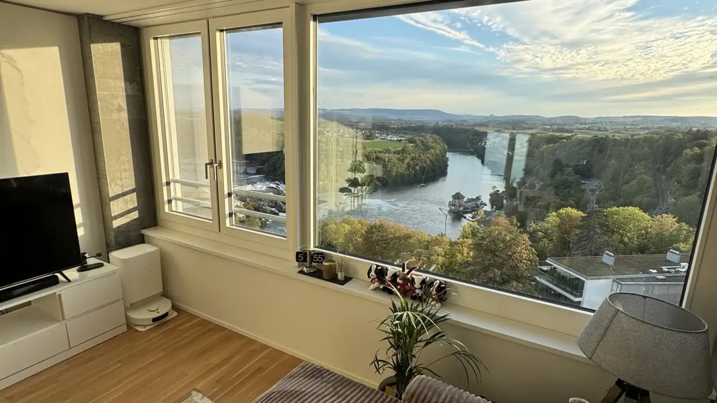 Wohnung mieten - Im Rhytech 1, 8212 Neuhausen am Rheinfall - Foto 3