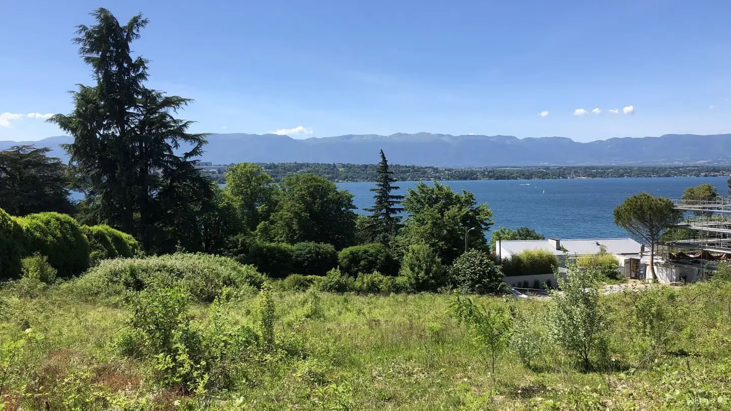 Terrain constructible à vendre - 1223 Cologny