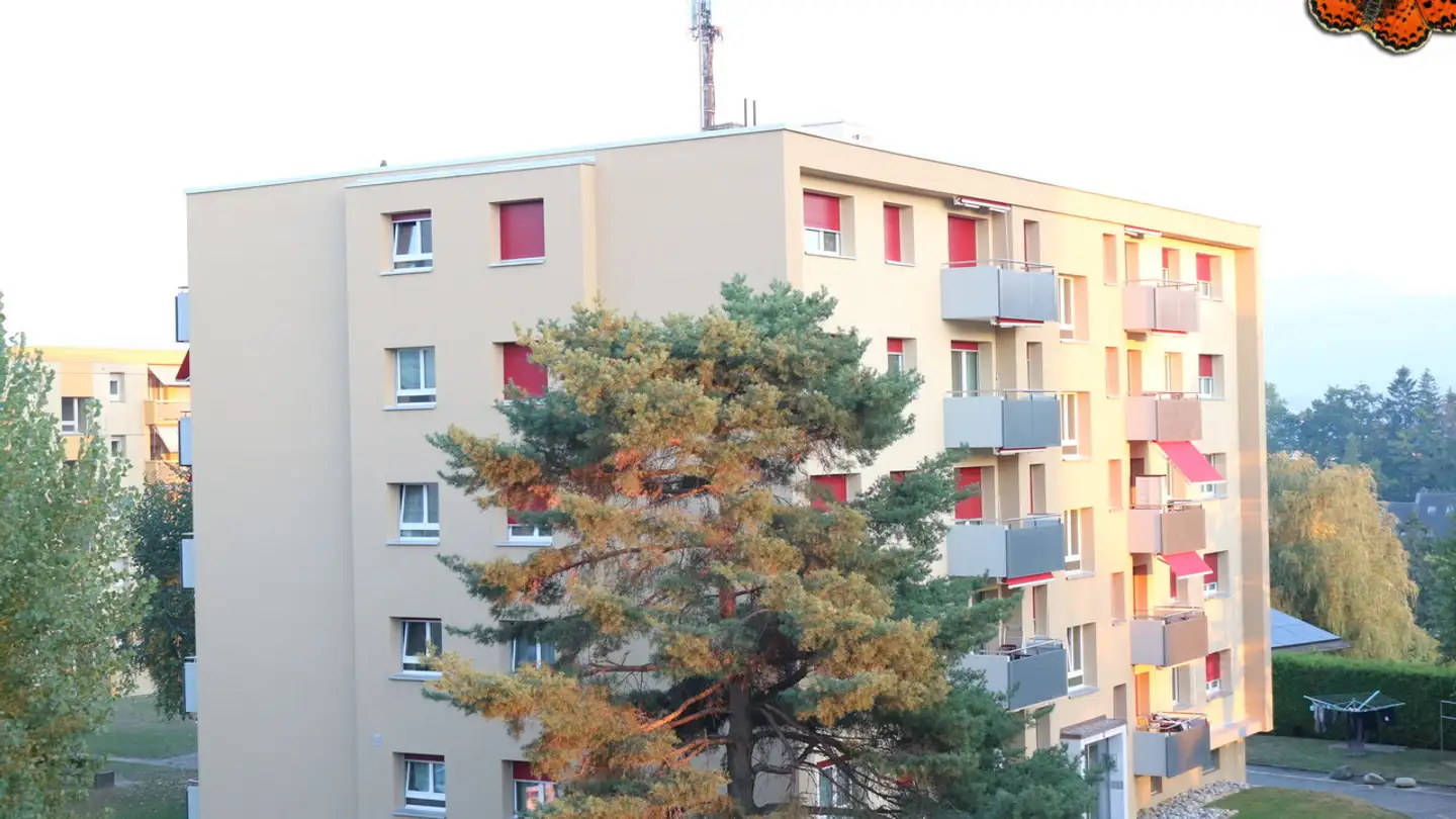 Apartment for rent - Route De Villars-Vert 14, 1752 Villars-sur-Glâne