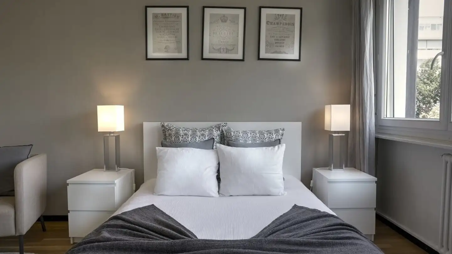 Appartement meublé à louer - Boulevard De La Cluse 35, 1205 Genève - Photo 3