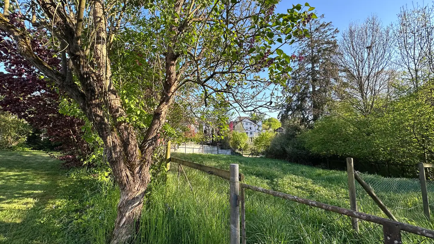 Constructible plot for sale - 8548 Ellikon an der Thur - Photo 4
