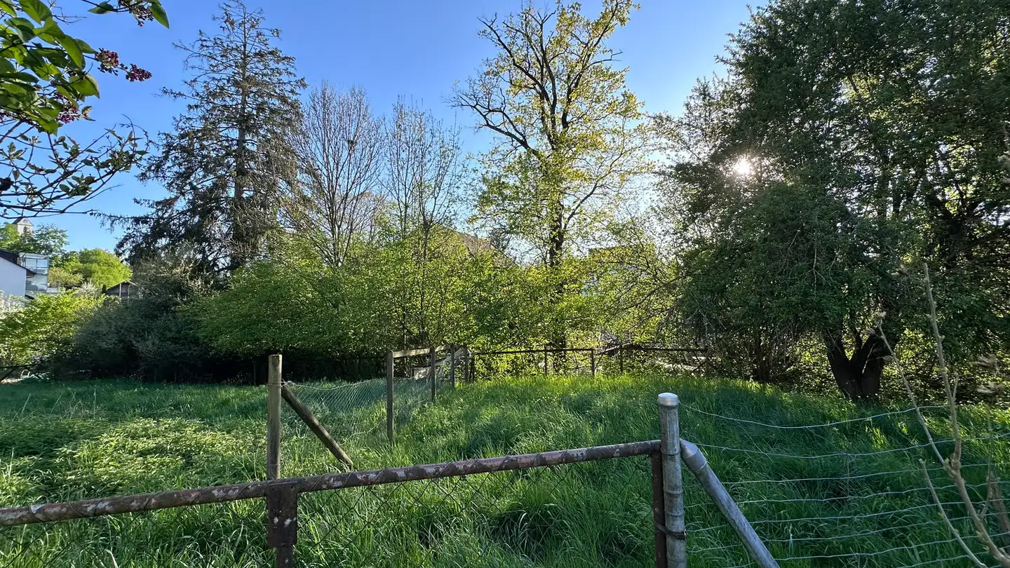 Constructible plot for sale - 8548 Ellikon an der Thur - Photo 3