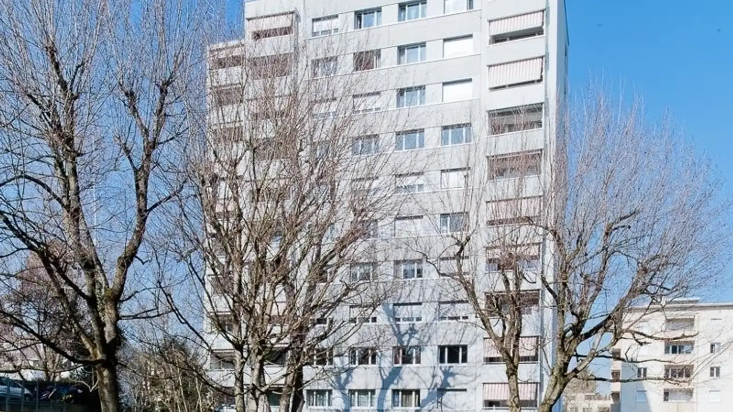 Apartment for rent - Lindenstrasse 33, 4102 Binningen