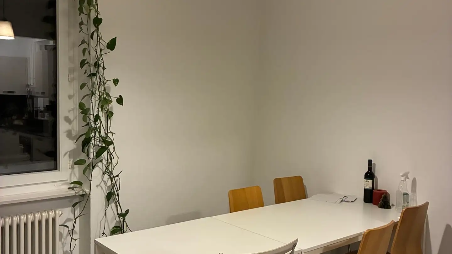 Single room for rent - 6900 Lugano - Photo 4