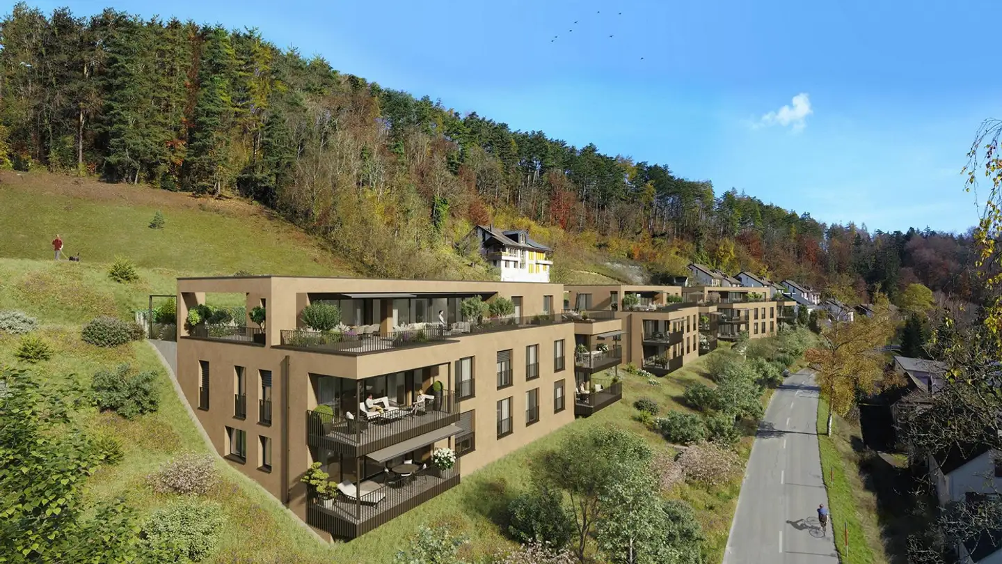 Apartment for sale - Sommerhalde, 8200 Schaffhausen