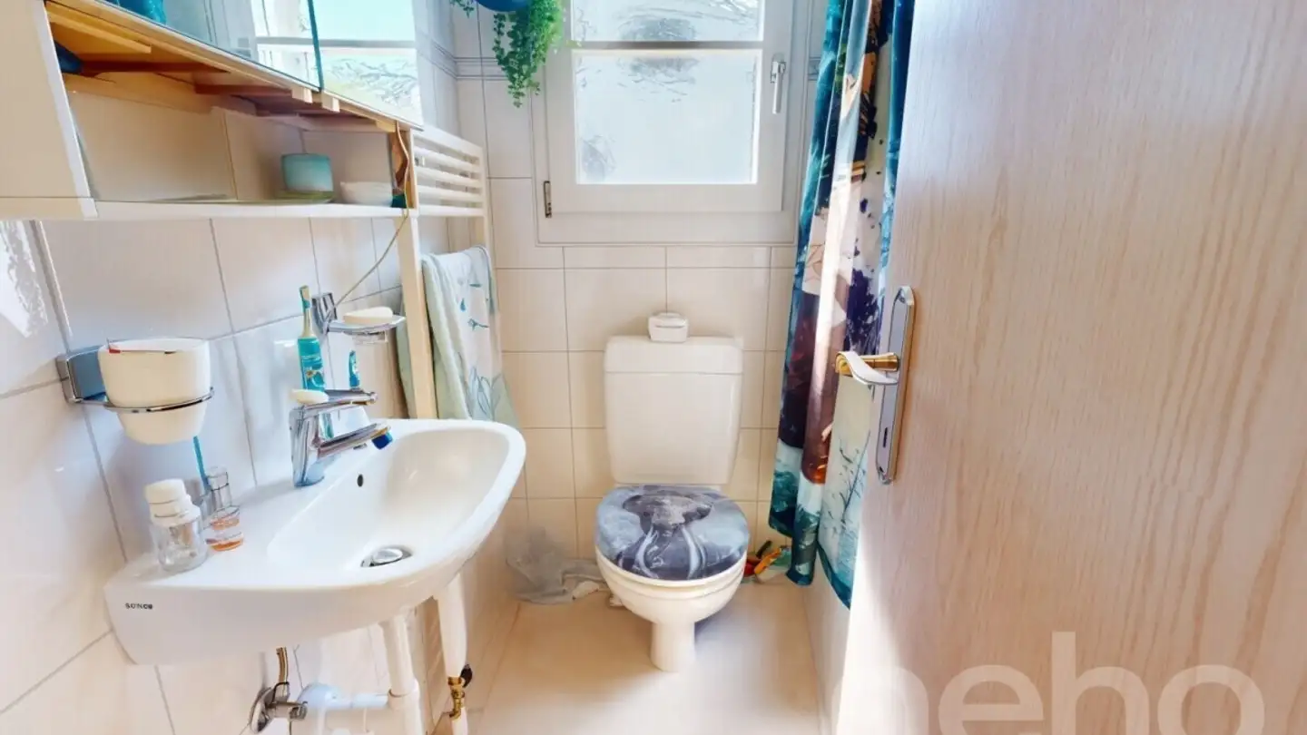 Casa bifamiliare in vendita - 4153 Reinach BL - Photo 4